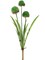 Real Touch Allium Spray: Set of 12, 24-Inch, Faux Greenery by Floral Home®